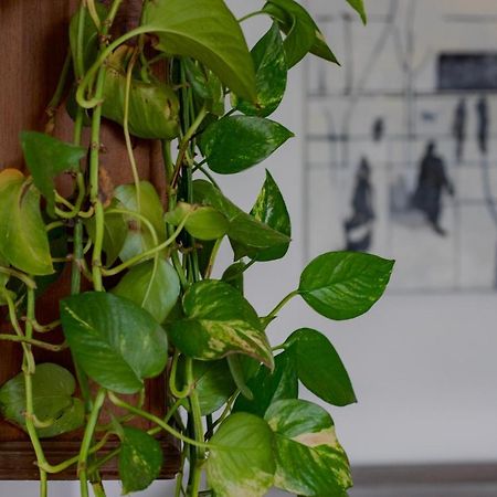 Casa D'Artista - Charming Apartment + Parking Torino Esterno foto